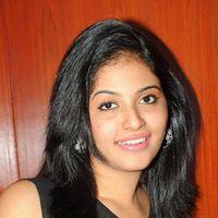 Anjali at Journey Audio Launch Pictures | Picture 127198